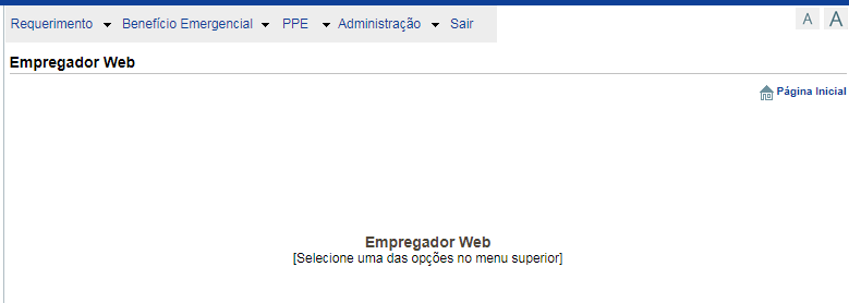 Veja como preencher o Empregador Web