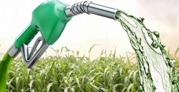 Deputados defendem venda direta de etanol aos postos de combustíveis