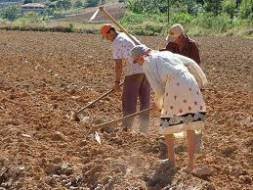 STJ - Aposentadoria por idade híbrida beneficia trabalhadora rural