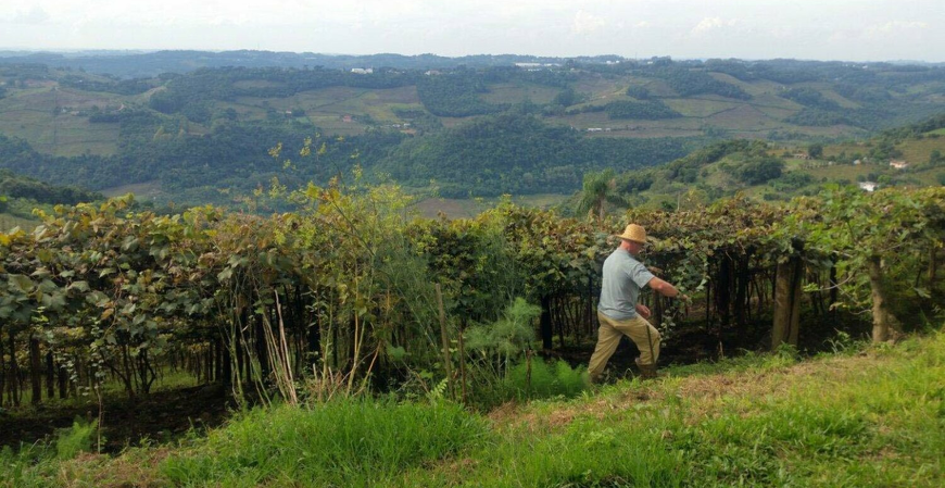 Livro caixa do produtor rural, além da obrigação fiscal