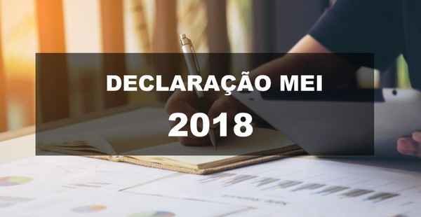 MEI deve entregar declaração até maio