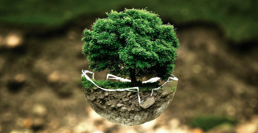 A tecnologia tem papel importante na conservação do meio ambiente, afirma CEO da Ikhon