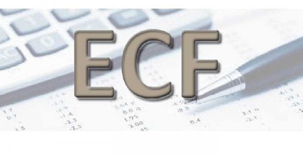 Saiba sobre a obrigatoriedade da ECF para as Empresas
