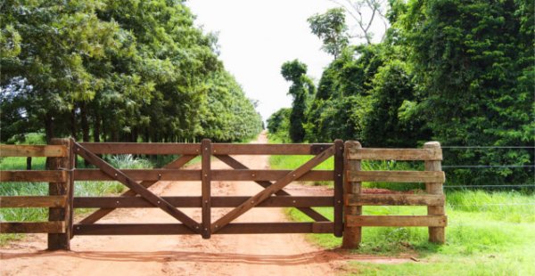 Venda de Imóvel Rural - Ganho de Capital - Como Calcular?