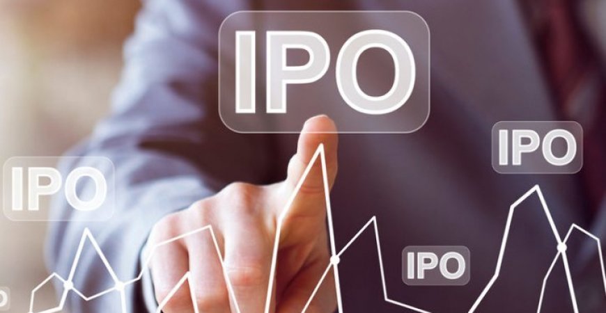 O que é e como funciona a Oferta Pública Inicial (IPO)