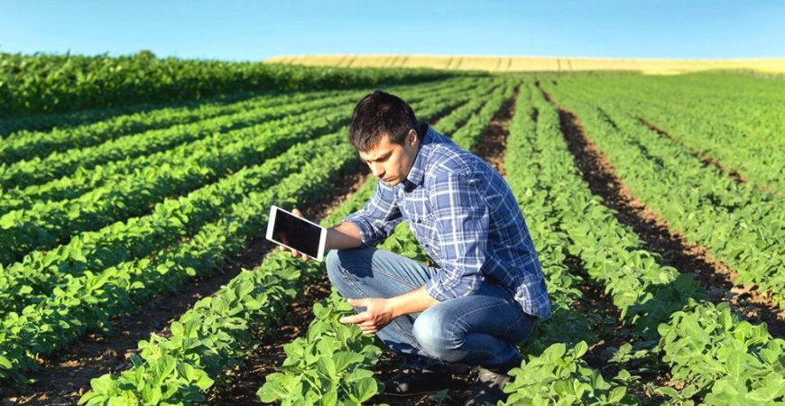 IR do produtor rural: entenda como funciona para pessoa física e jurídica 