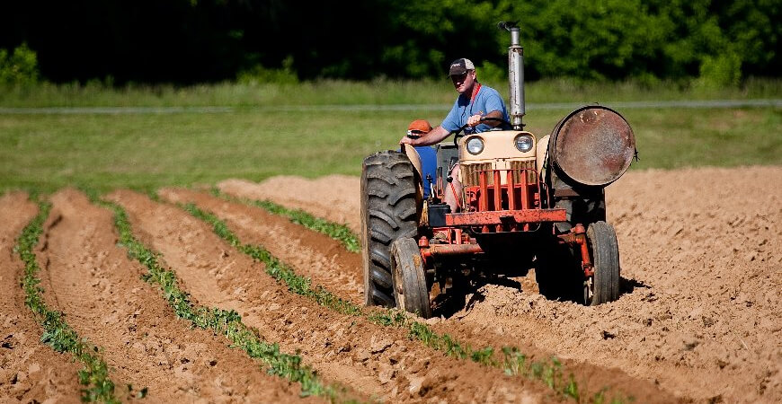 Os impostos no agronegócio viram caixa para produtores e cooperativas