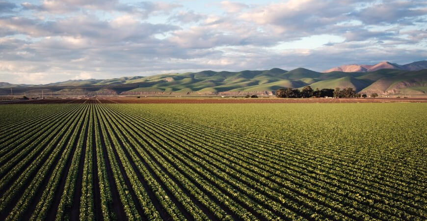 ICMS: tributação no agronegócio brasileiro