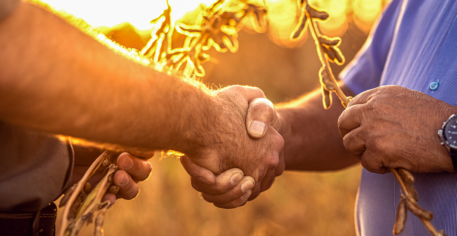 Impostos do agro em MT podem ser reduzidos