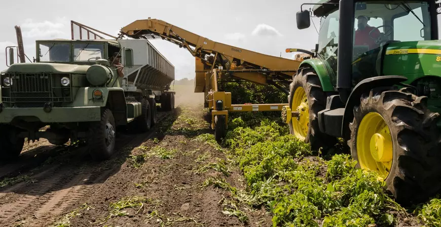 A tributação do agronegócio na reforma tributária