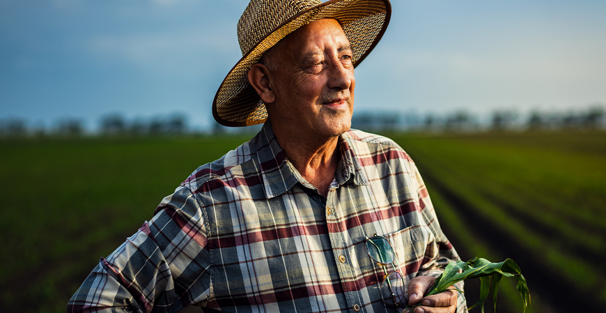 Aposentadoria especial híbrida: soma de atividades de risco urbanas e rurais