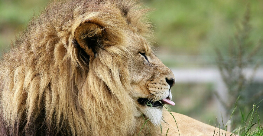 Aquecimento para o IRPF 2026: prepare-se para a entrega do ano