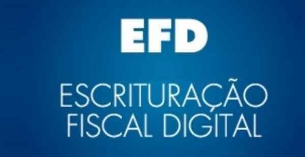 Informações Obrigatórias na EFD
