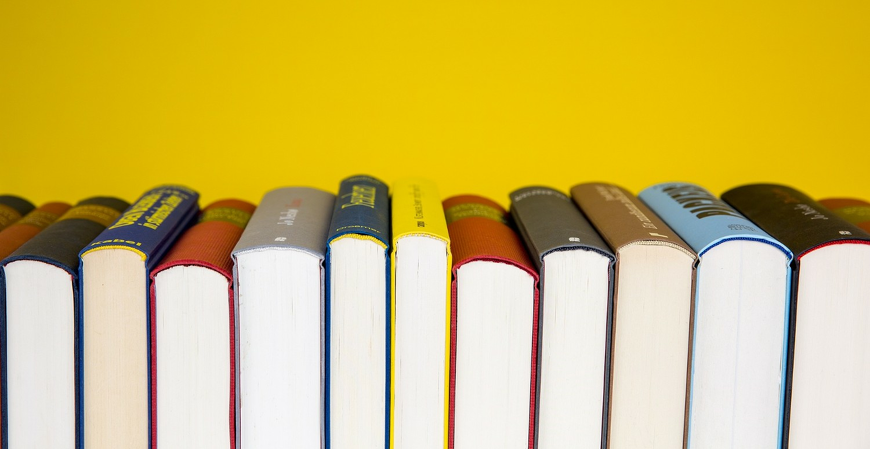 11 livros para impulsionar sua vida pessoal e profissional segundo CEOs de grandes empresas brasileiras