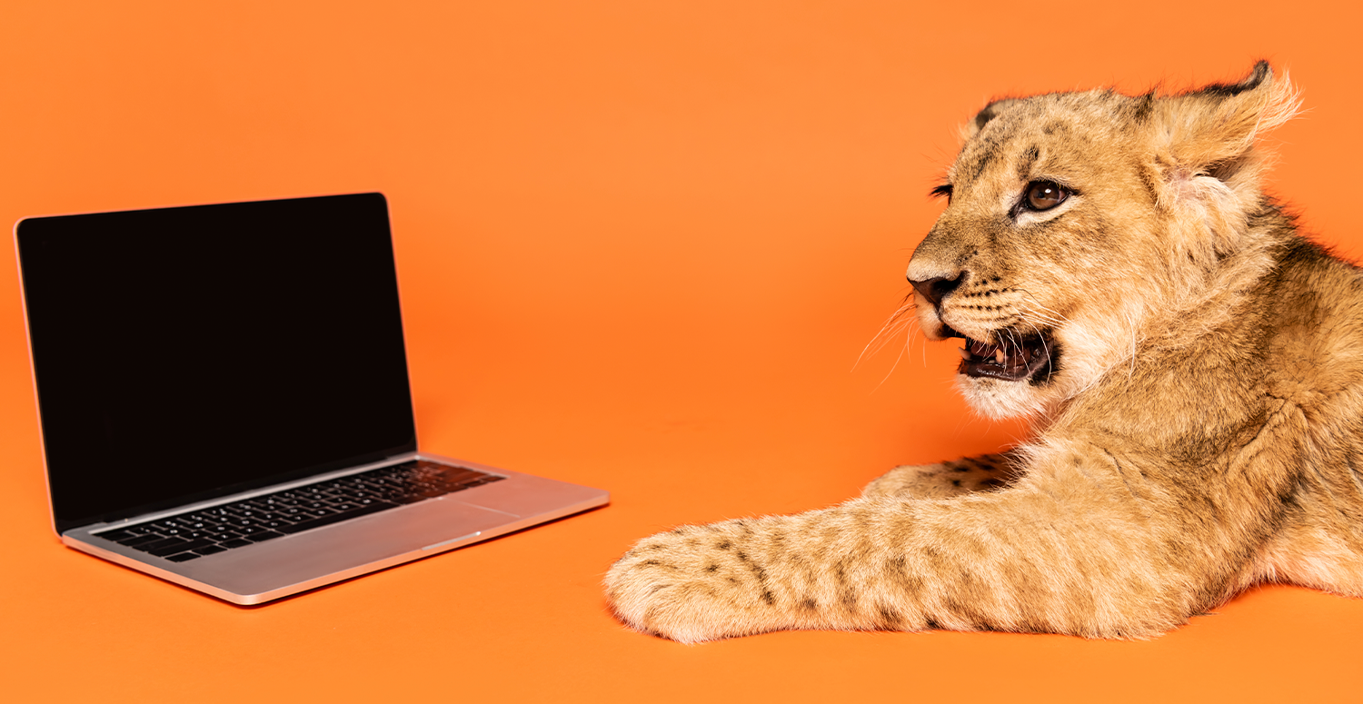 IRPF 2026: ChatBot do Leão responde quem precisa enviar declaração