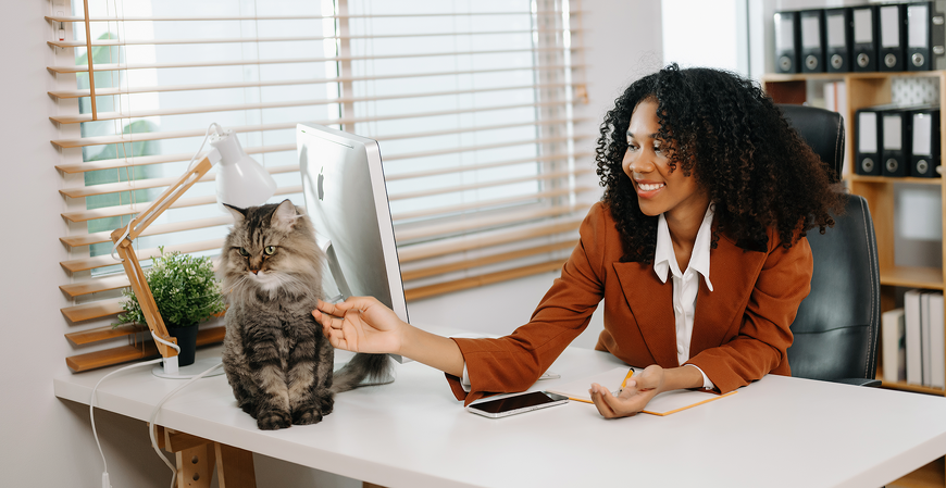 Será que você é um CLT premium? Confira o que significa e os benefícios diferenciados oferecidos para essa categoria