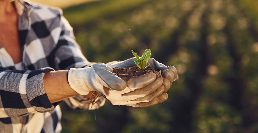 CMN altera regras da garantia de valor para certificados imobiliários e agrícolas
