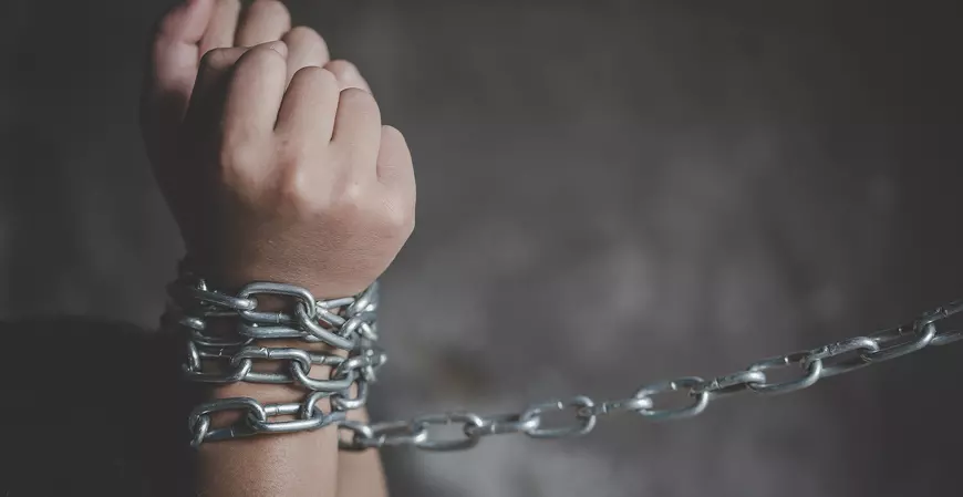 Projeto amplia seguro-desemprego para resgatados do trabalho escravo