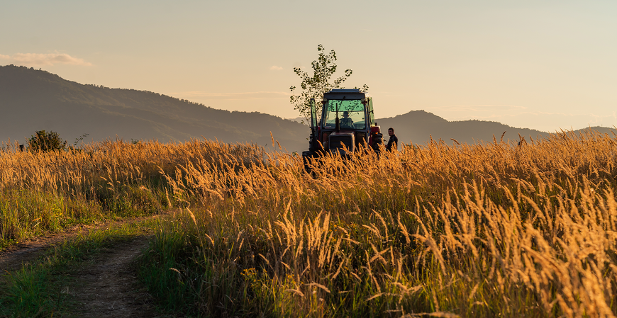 Crédito de carbono poderá quitar impostos agropecuários