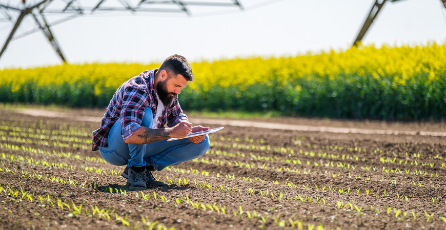 Câmara aprova uso de saldo do PIS/Pasep para reforçar subsídio ao seguro rural