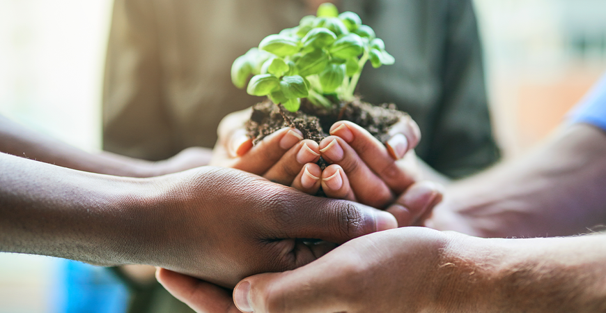 COP30: quando a economia encontra a ecologia