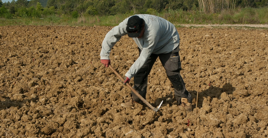 Produtores recebem autorização para renegociar dívidas do crédito rural em 16 estados 