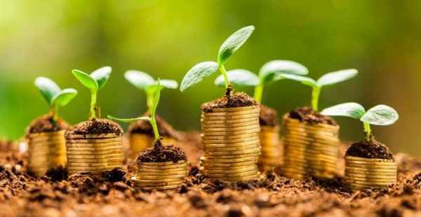 Resultado de imagem para FUNRURAL