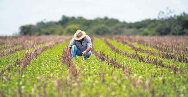 Inscrição no Cadastro Ambiental Rural deve ser feita até dezembro