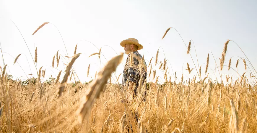 Desenrola: pequenos produtores rurais poderão renegociar dívidas