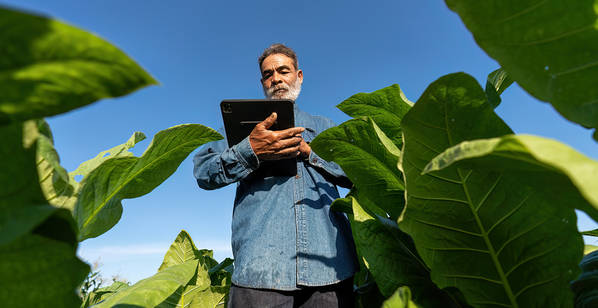 DITR 2024: prazo para envio começa nesta segunda-feira (12)