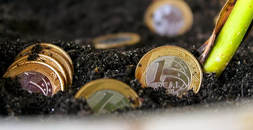 A importância da educação financeira