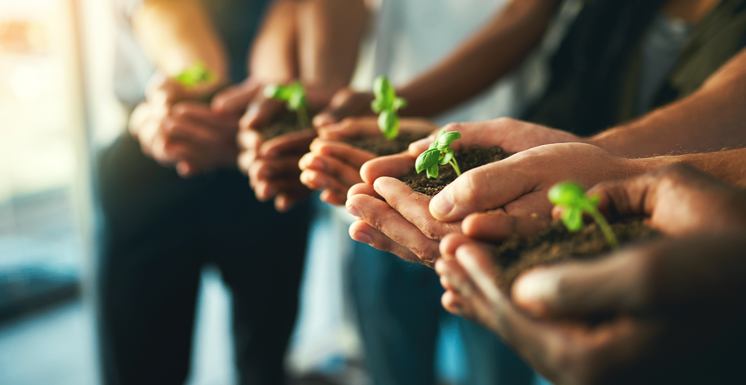 Sustentabilidade empresarial: o papel do contador na agenda ESG