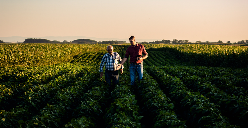 Estratégias tributárias e planejamento tributário para o agronegócio
