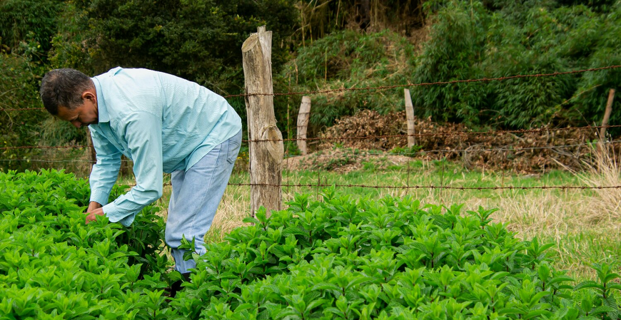 RS: Nota Fiscal para Produtor Rural em papel chegará ao fim em julho de 2025