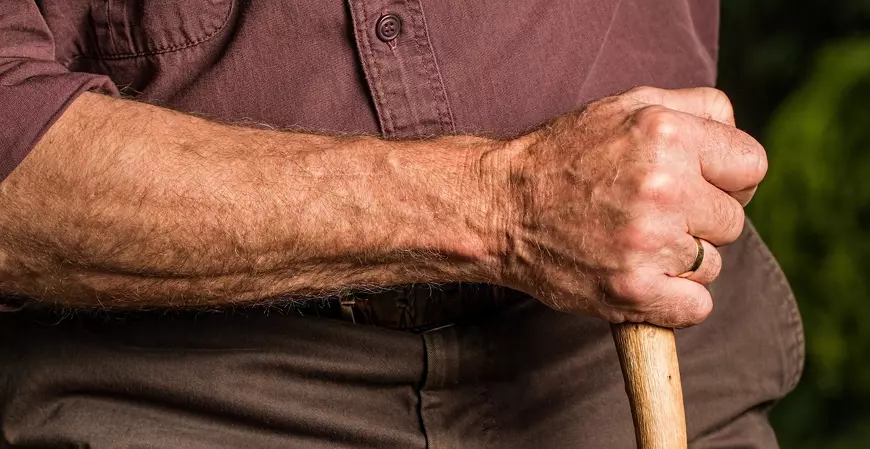 Ministra do planejamento anuncia pente-fino em todos os benefícios do INSS para economizar R$ 20 bi