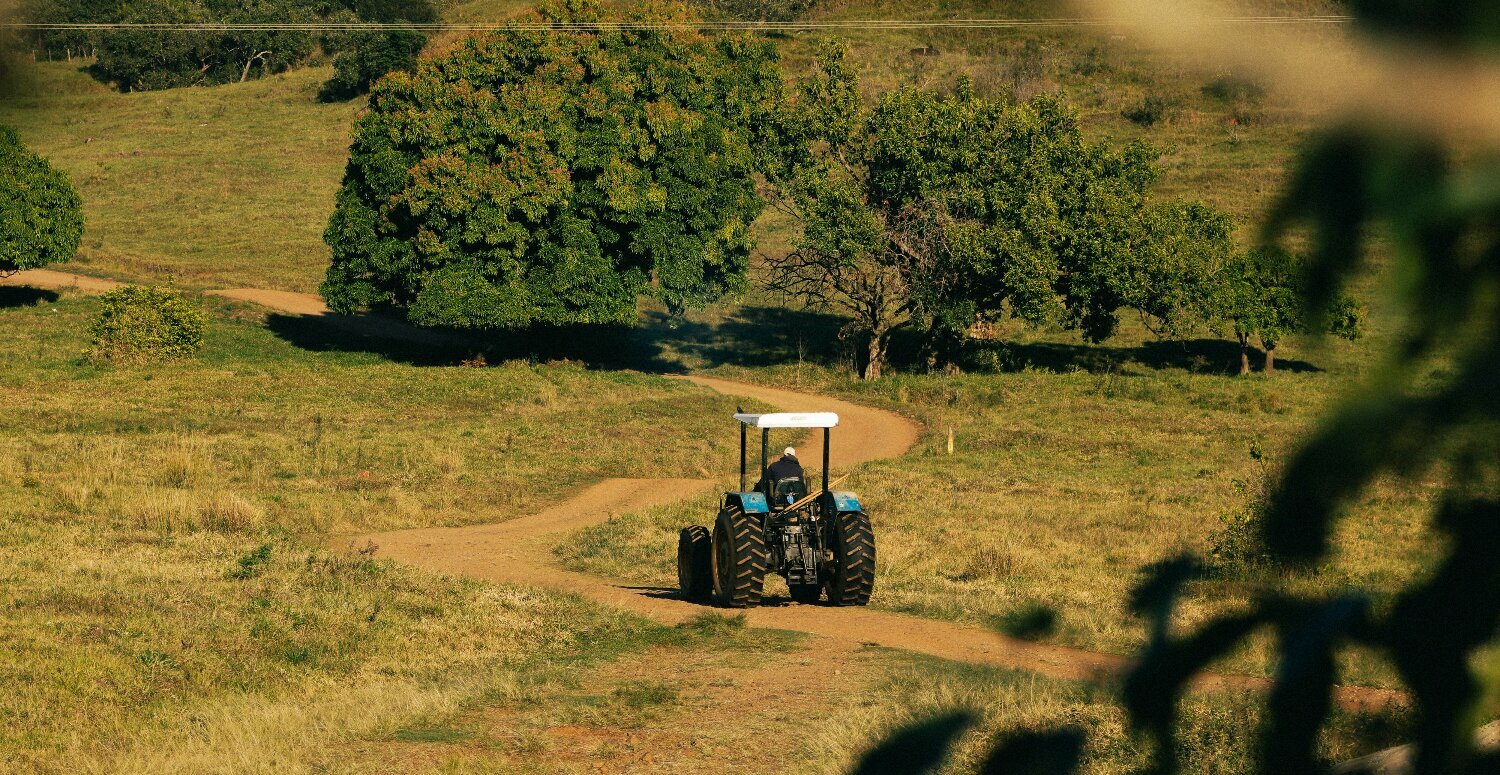 Holding rural pós-reforma tributária: vale a pena no agro?
