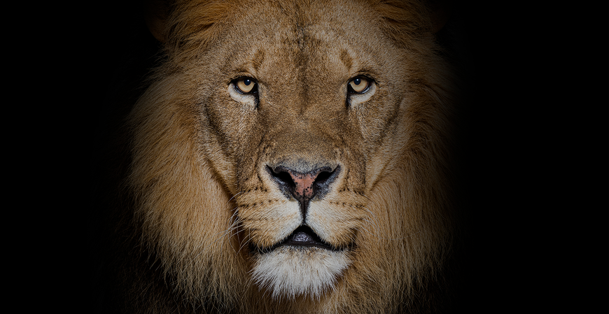 Imposto de Renda 2026: saiba quais despesas podem ser deduzidas