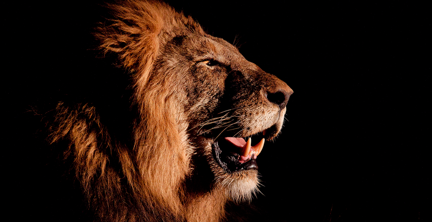 Imposto de Renda 2026: como se preparar