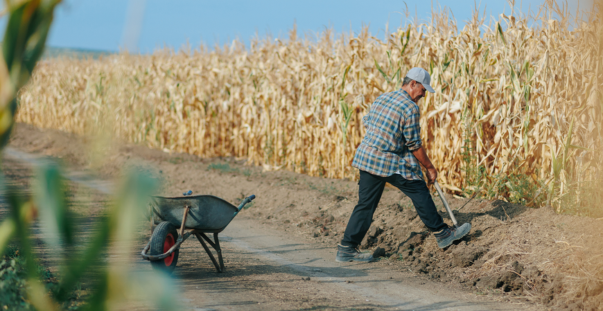 Trabalhadores rurais são isentos de multa para tempo de aposentadoria anterior a 1991