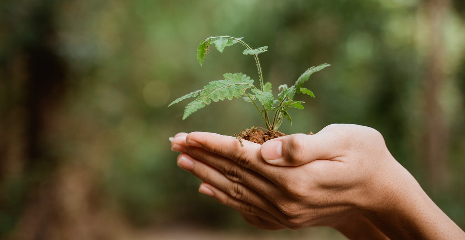Empresas devem adotar normas de sustentabilidade