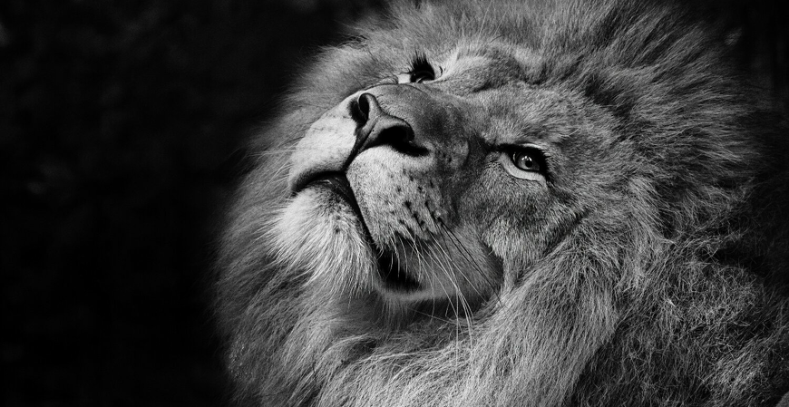 5 mitos sobre o Imposto de Renda que ainda confundem contribuintes 5 mitos sobre o Imposto de Renda que ainda confundem contribuintes