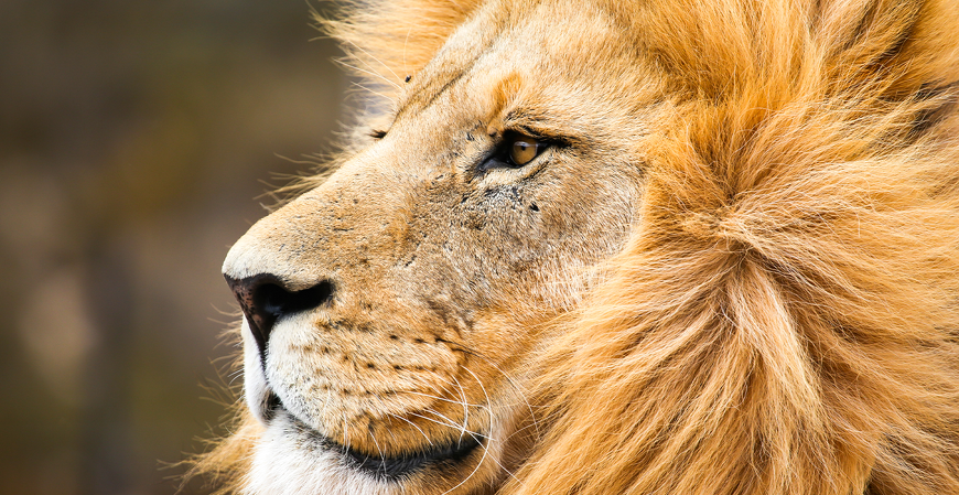 Declarações do IR com erros podem ser corrigidas até 31 de maio