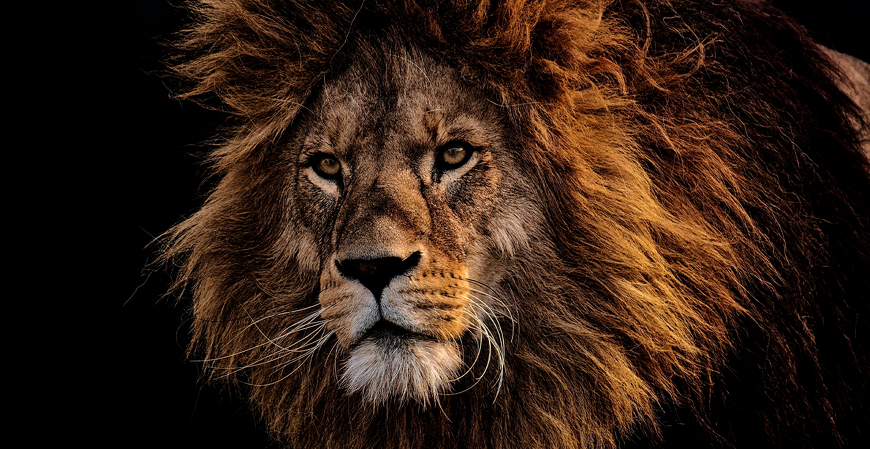 Novas regras de isenção do Imposto de Renda já estão valendo