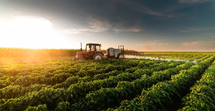 Prazo da ITR terminou na sexta (29); veja como entregar em atraso