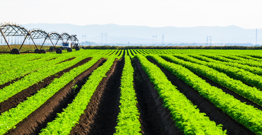 RFB amplia integração com municípios conveniados na fiscalização do Imposto Territorial Rural