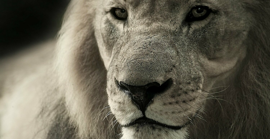 Mais de 725 mil declarações do IR 2025 foram entregues na primeira semana no estado de São Paulo