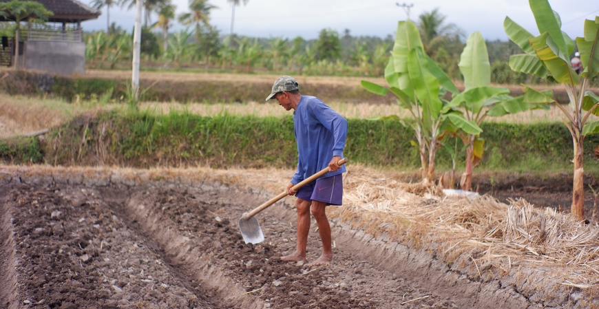 Governo atualiza Lista Suja e inclui 248 empregadores que submeteram trabalhadores a condições análogas à escravidão