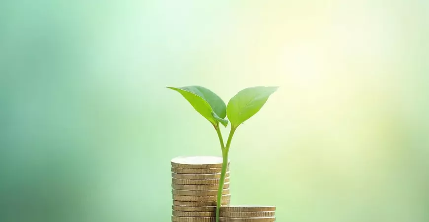 Independência financeira após os 40 vai além da aposentadoria Independência financeira após os 40 vai além da aposentadoria