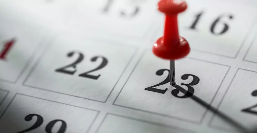 Novembro terá três feriados nacionais; veja as datas e possíveis folgas