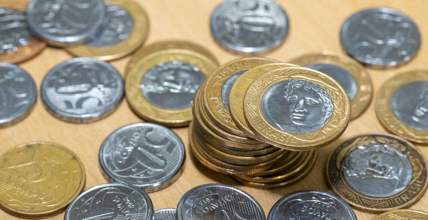 Você conhece a nova DIRBI?